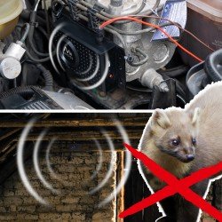 Aparat împotriva jderilor, șoarecilor și șobolanilor pentru mașină, garaj și pod 60 m² Gardigo Marder-Frei Dual – ultrasunete, LED și alimentare dublă Aparat împotriva jderilor, șoarecilor și șobolanilor pentru mașină, garaj și pod 60 m² Gardigo Marder-Frei Dual – ultrasunete, LED și alimentare dublă